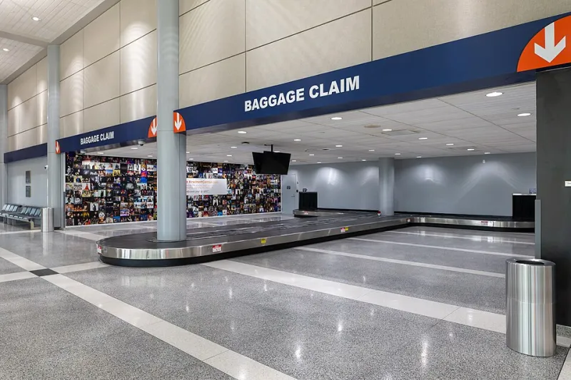 The Baggage Claim Handbook: Deadlines, Forms, and Phone Numbers for Every Major US Carrier